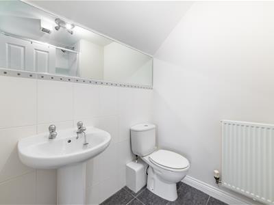 Picture 25